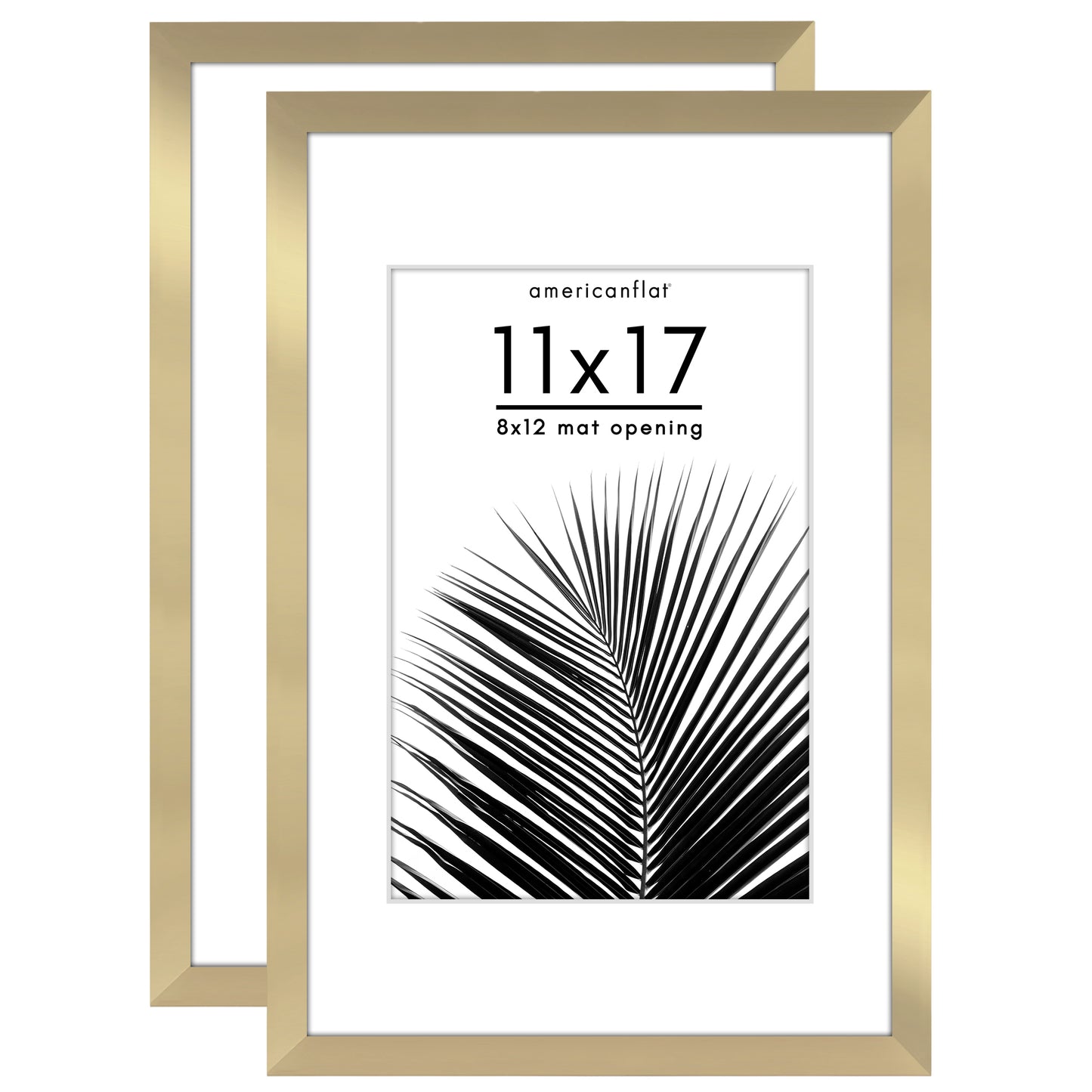 Picture Frame 2 Pack | With Mat | Protective Plexiglass Cover | Wall Decor