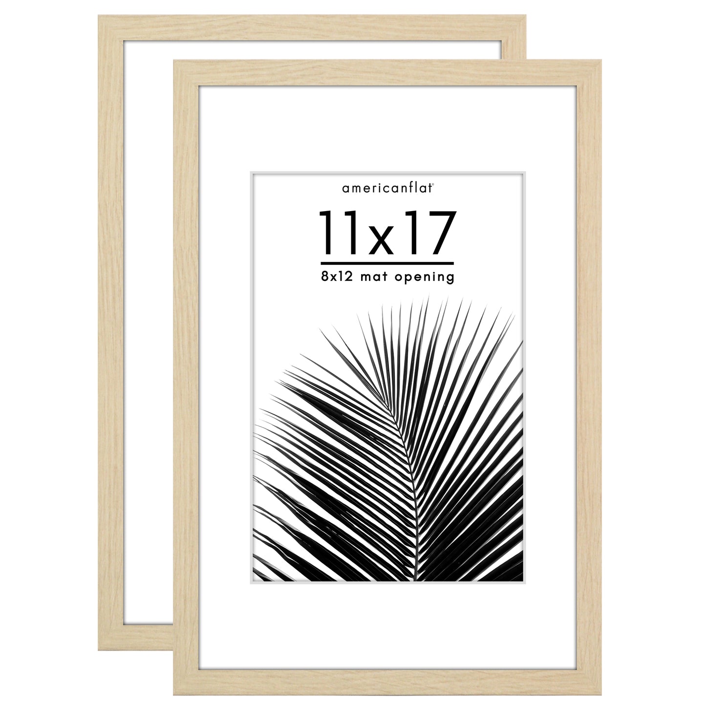 Picture Frame 2 Pack | With Mat | Protective Plexiglass Cover | Wall Decor