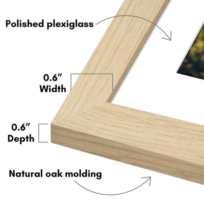 Picture Frame 2 Pack | With Mat | Protective Plexiglass Cover | Wall Decor