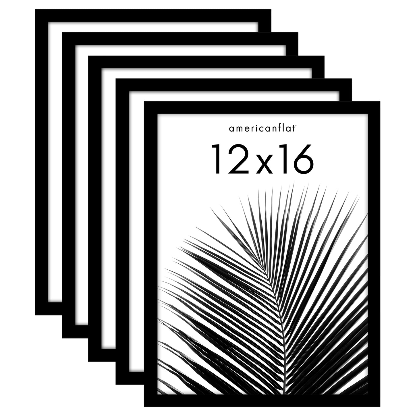 Americanflat Gallery Picture Frame Set | 5-Pack