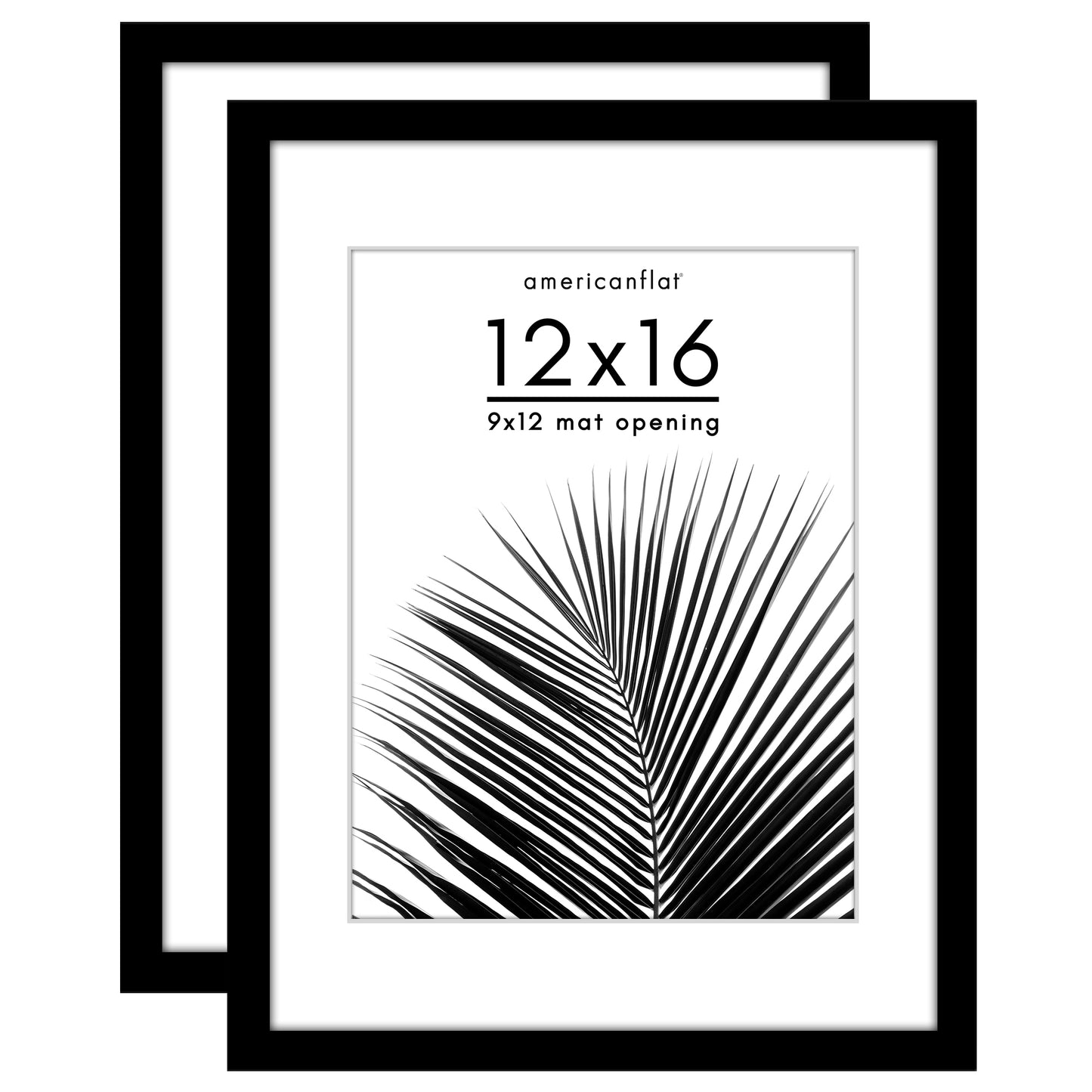 Picture Frame 2 Pack | With Mat | Protective Plexiglass Cover | Wall Decor