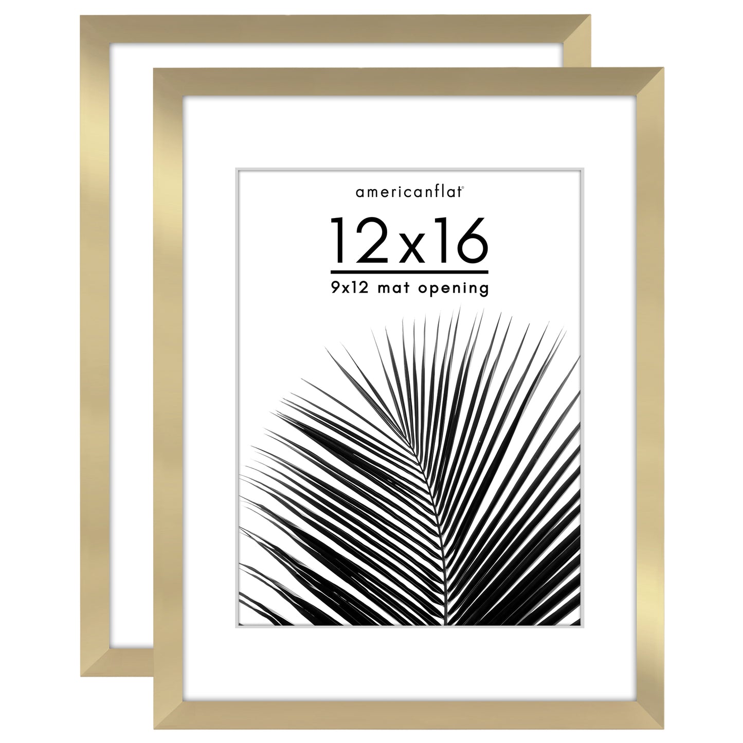 Picture Frame 2 Pack | With Mat | Protective Plexiglass Cover | Wall Decor