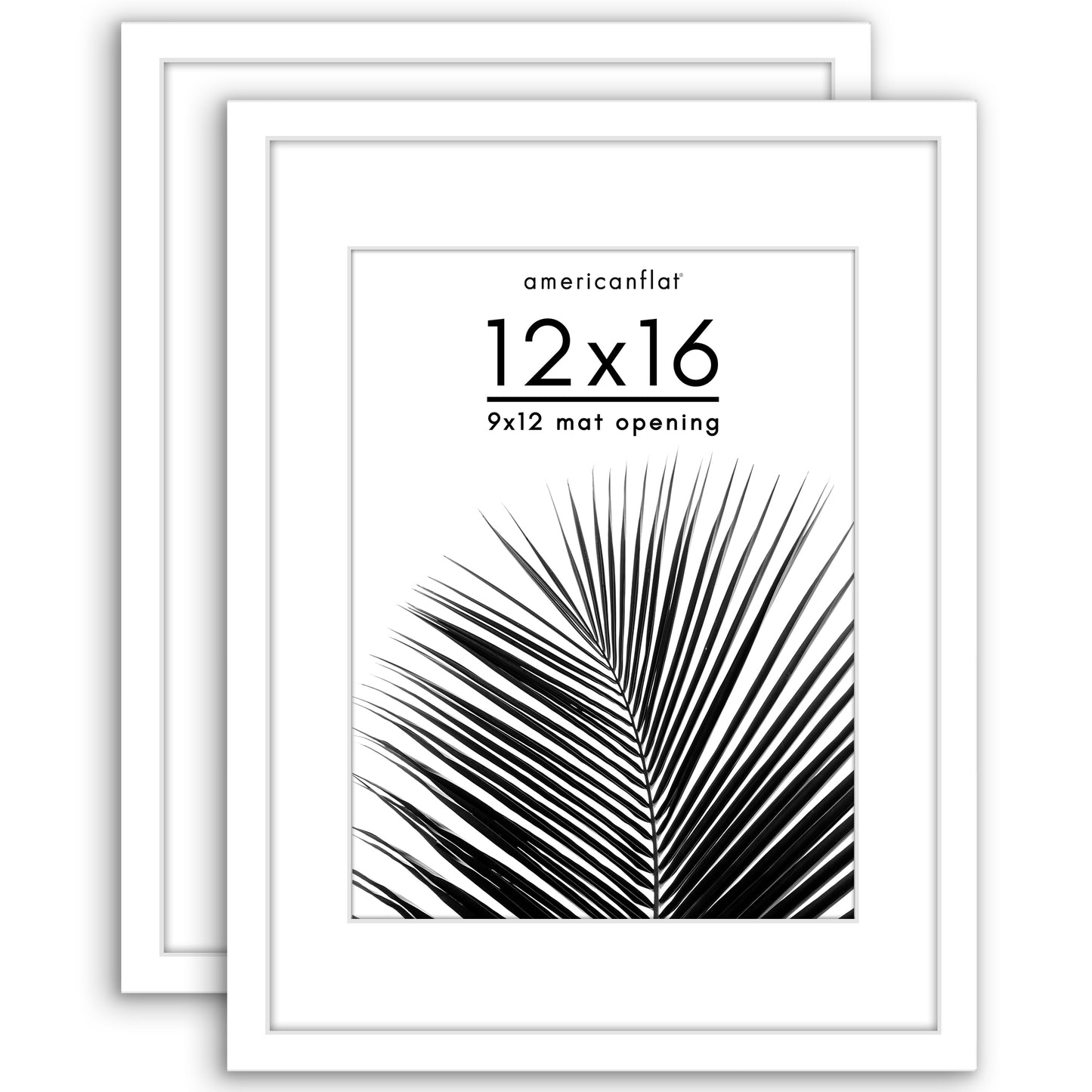 Picture Frame 2 Pack | With Mat | Protective Plexiglass Cover | Wall Decor