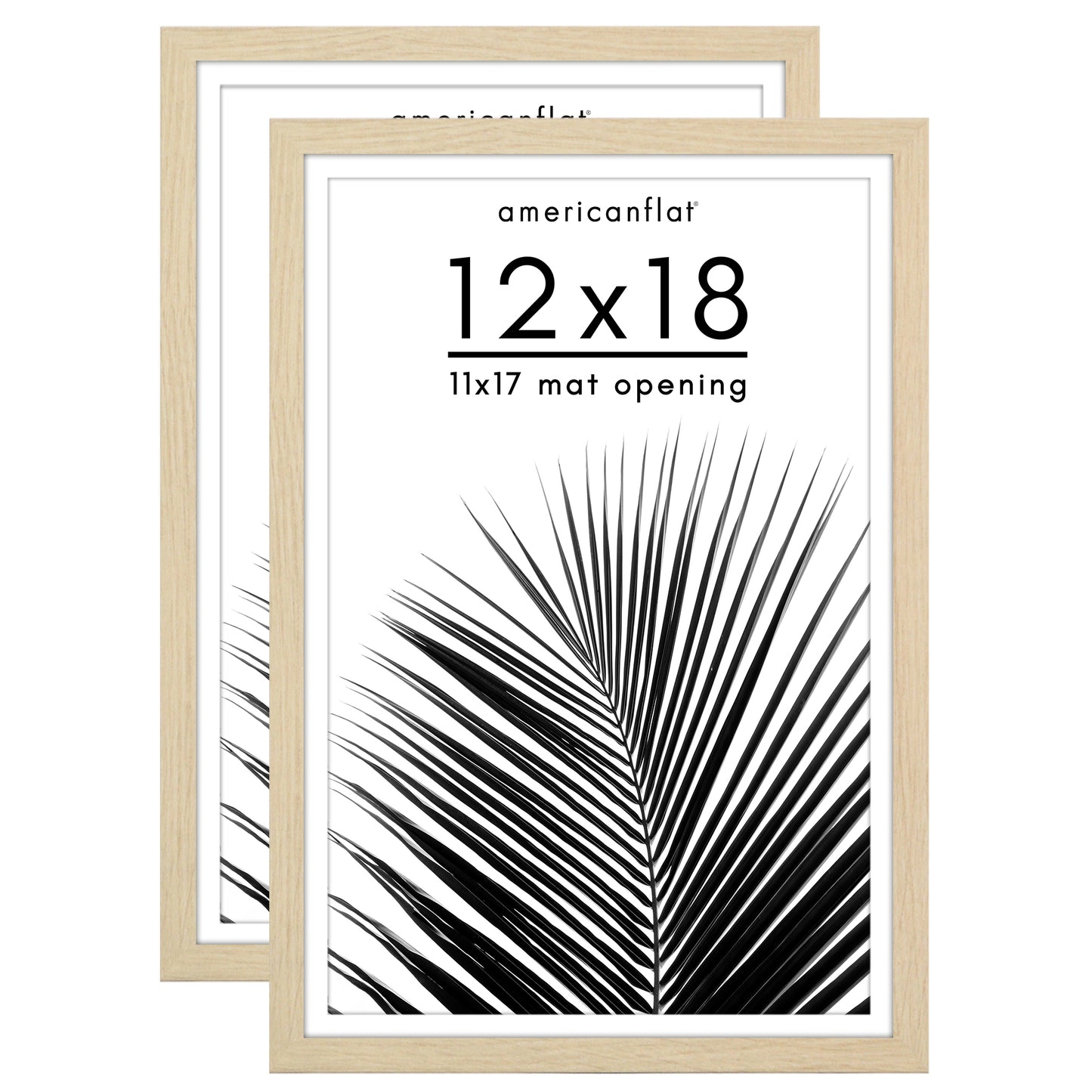 Picture Frame 2 Pack | With Mat | Protective Plexiglass Cover | Wall Decor