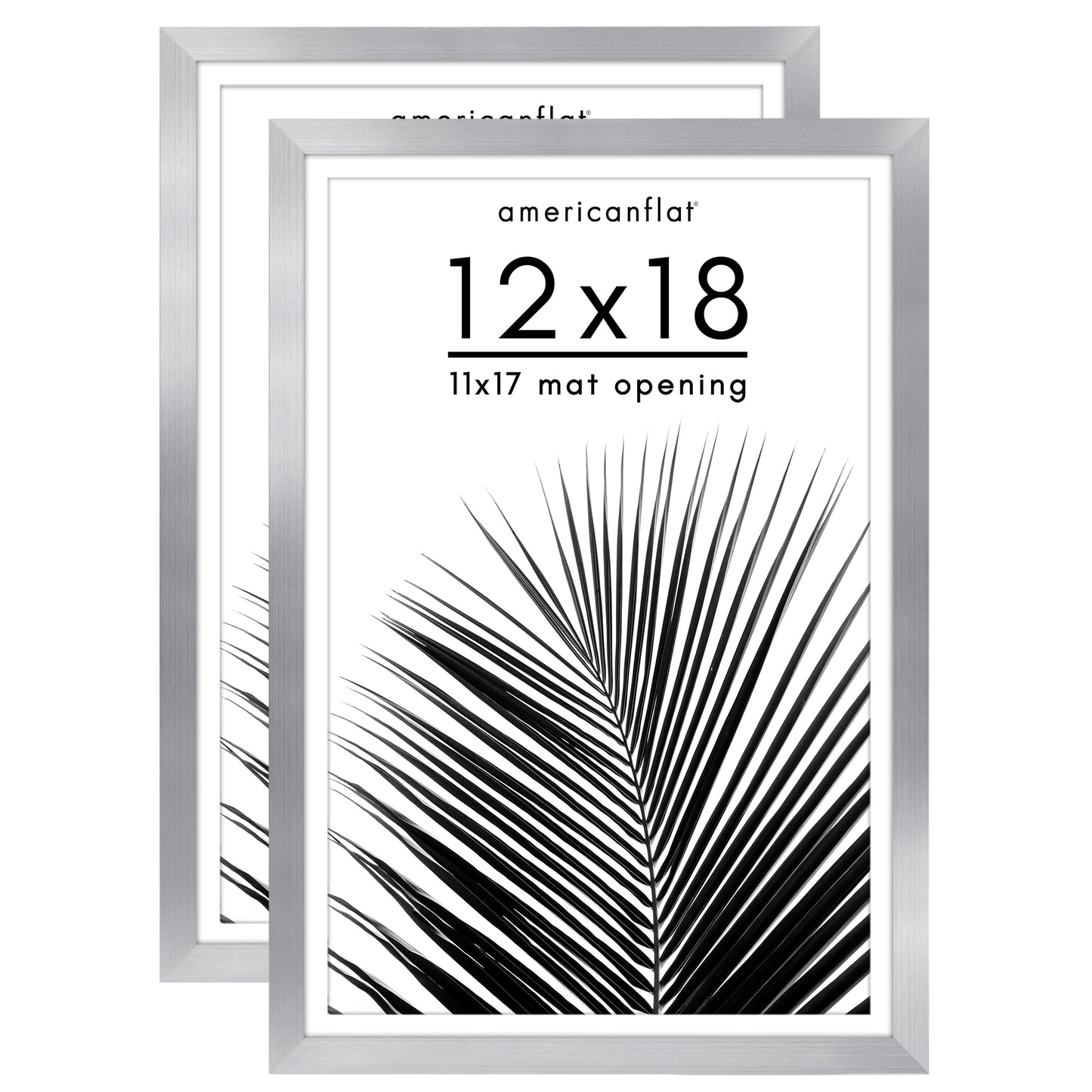 Picture Frame 2 Pack | With Mat | Protective Plexiglass Cover | Wall Decor