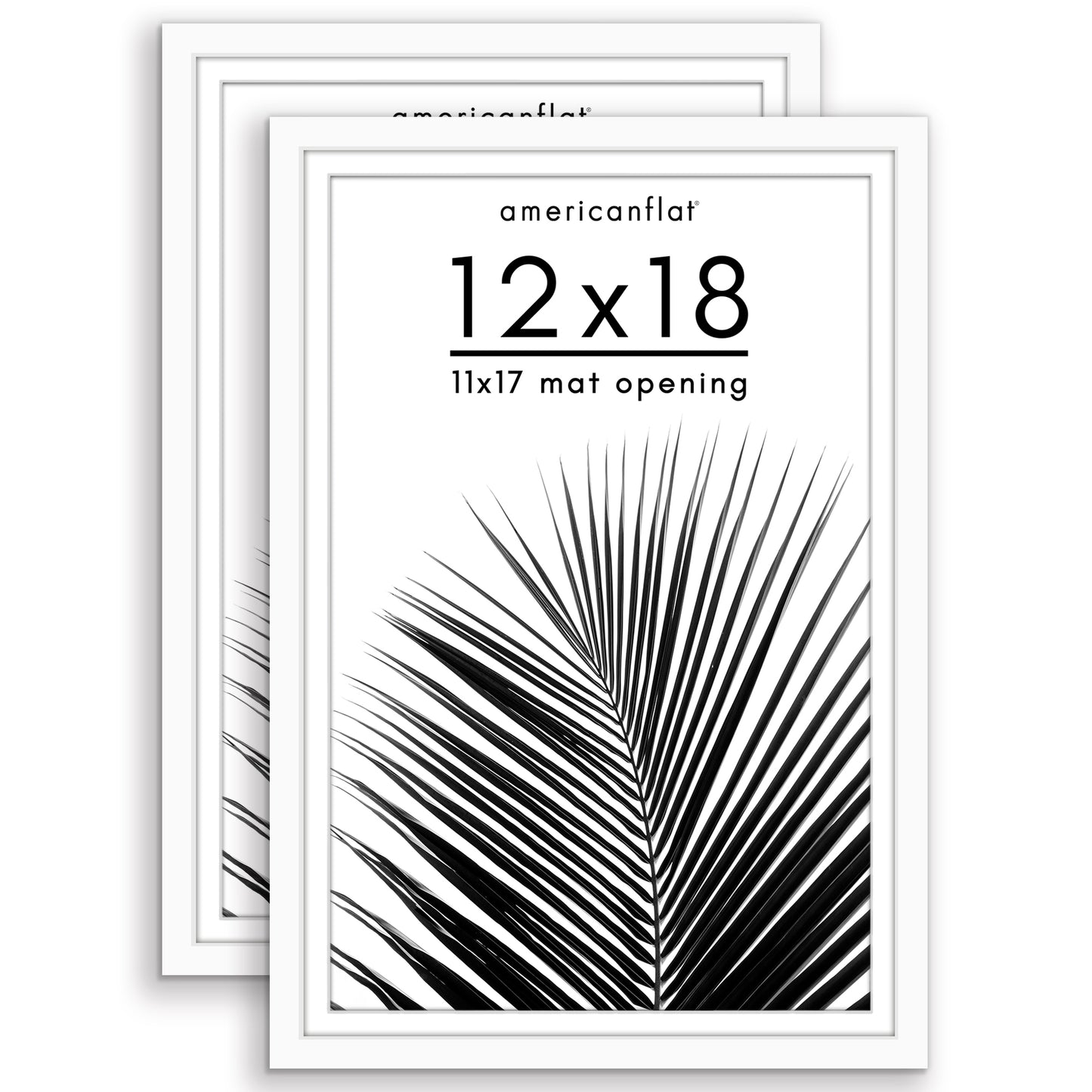 Picture Frame 2 Pack | With Mat | Protective Plexiglass Cover | Wall Decor