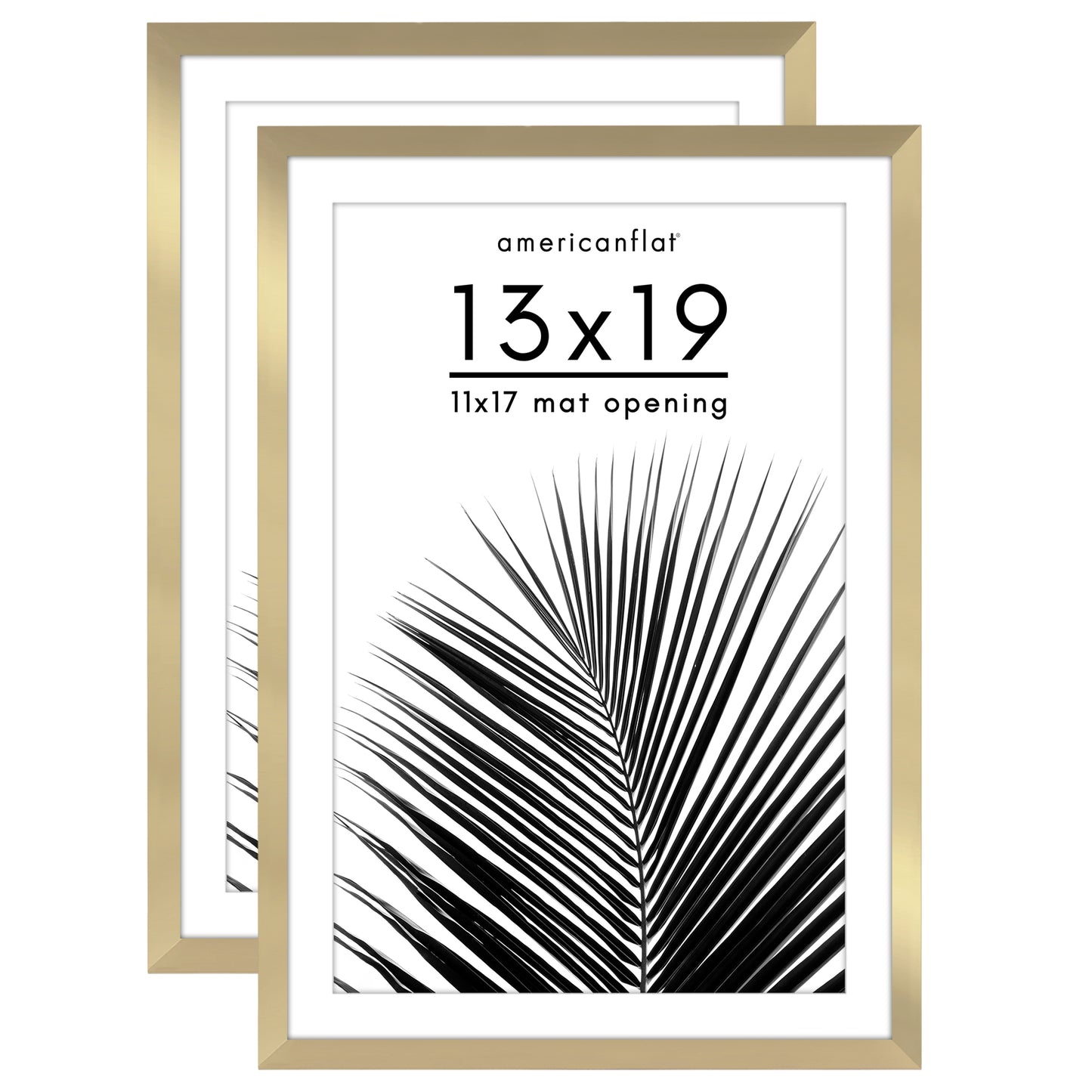Picture Frame 2 Pack | With Mat | Protective Plexiglass Cover | Wall Decor