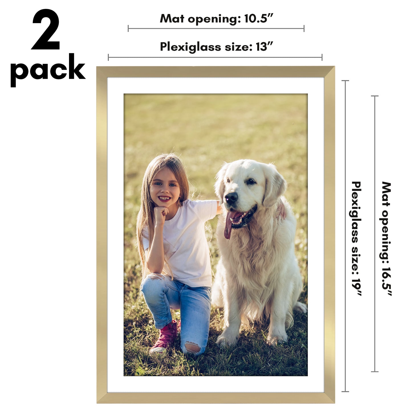 Picture Frame 2 Pack | With Mat | Protective Plexiglass Cover | Wall Decor