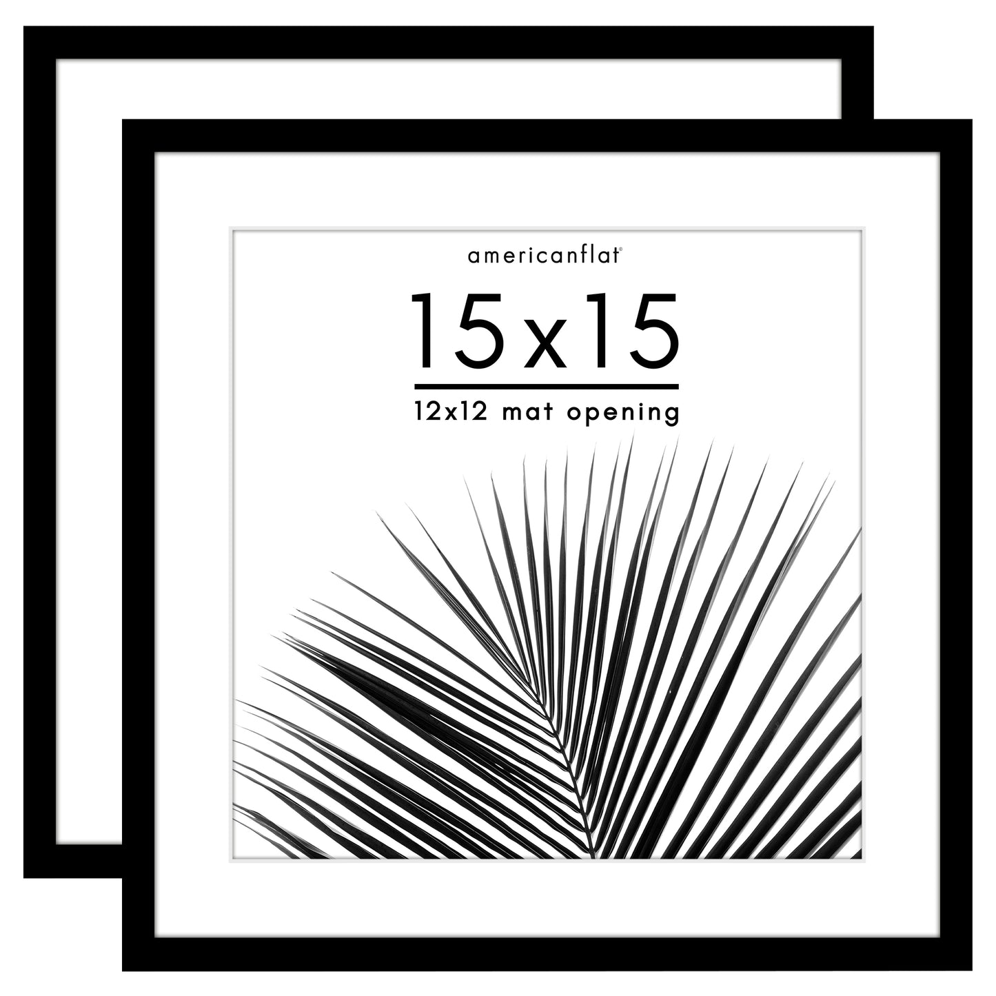 Picture Frame 2 Pack | With Mat | Protective Plexiglass Cover | Wall Decor