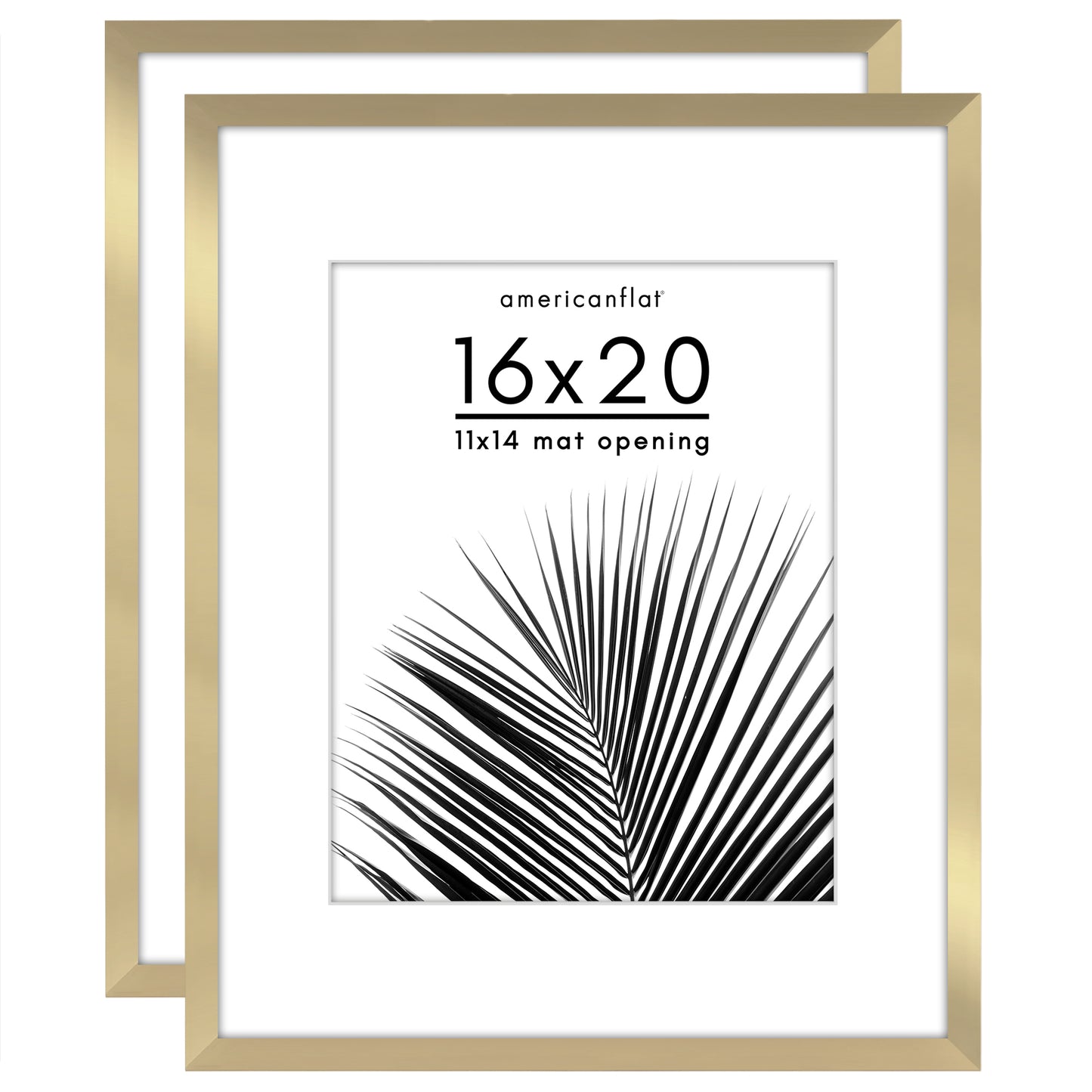 Picture Frame 2 Pack | With Mat | Protective Plexiglass Cover | Wall Decor