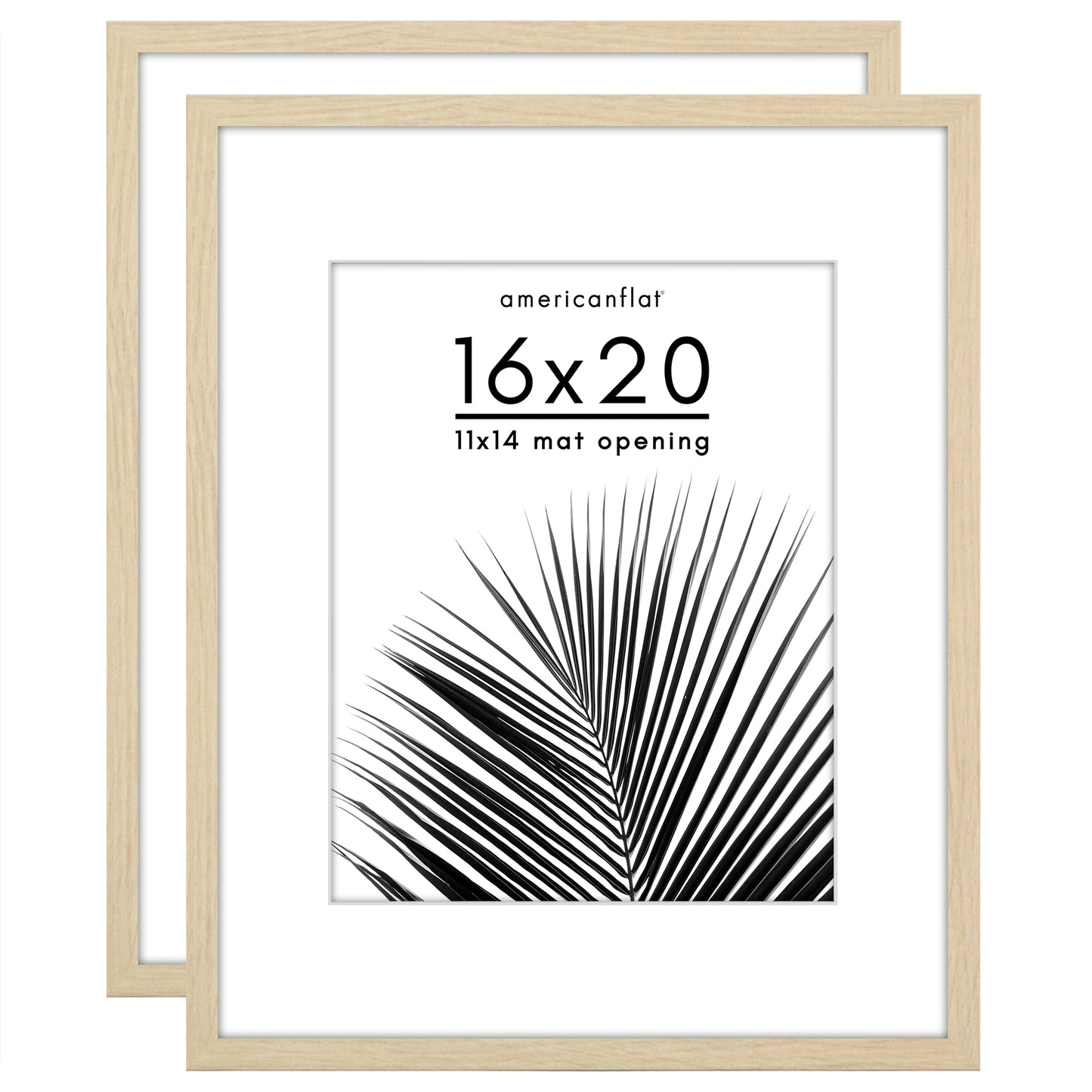 Picture Frame 2 Pack | With Mat | Protective Plexiglass Cover | Wall Decor