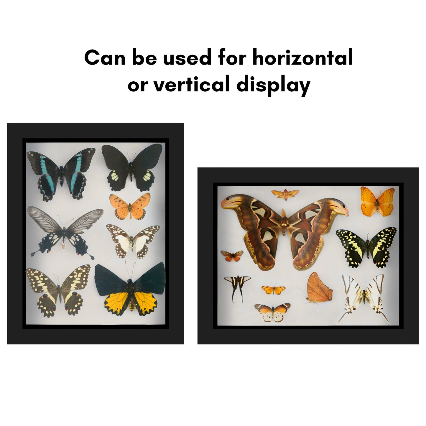 Shadow Box Frame | Deep Display | Shatter-Resistant Glass | Wall Decor