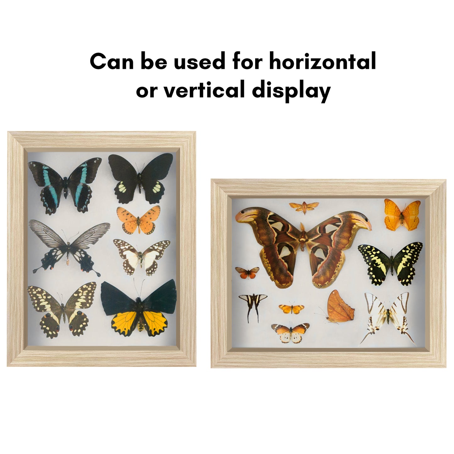 Shadow Box Frame | Deep Display | Shatter-Resistant Glass | Wall Decor