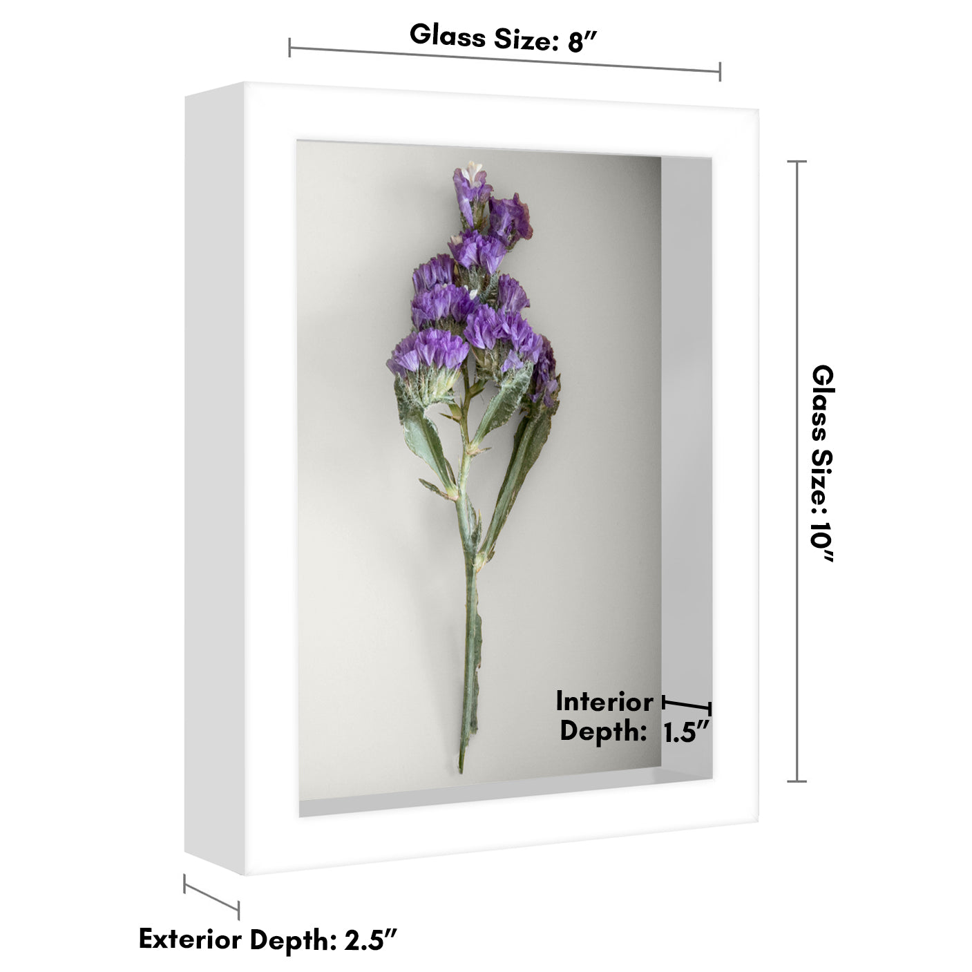 Shadow Box Frame | Deep Display | Shatter-Resistant Glass | Wall Decor