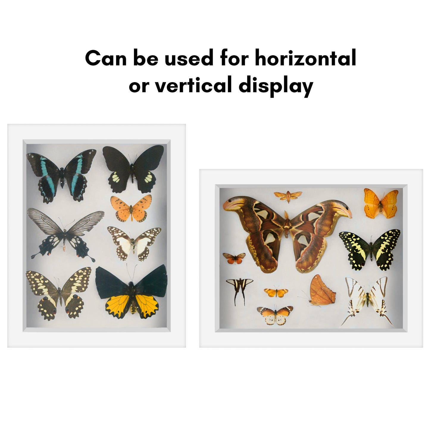 Shadow Box Frame | Deep Display | Shatter-Resistant Glass | Wall Decor