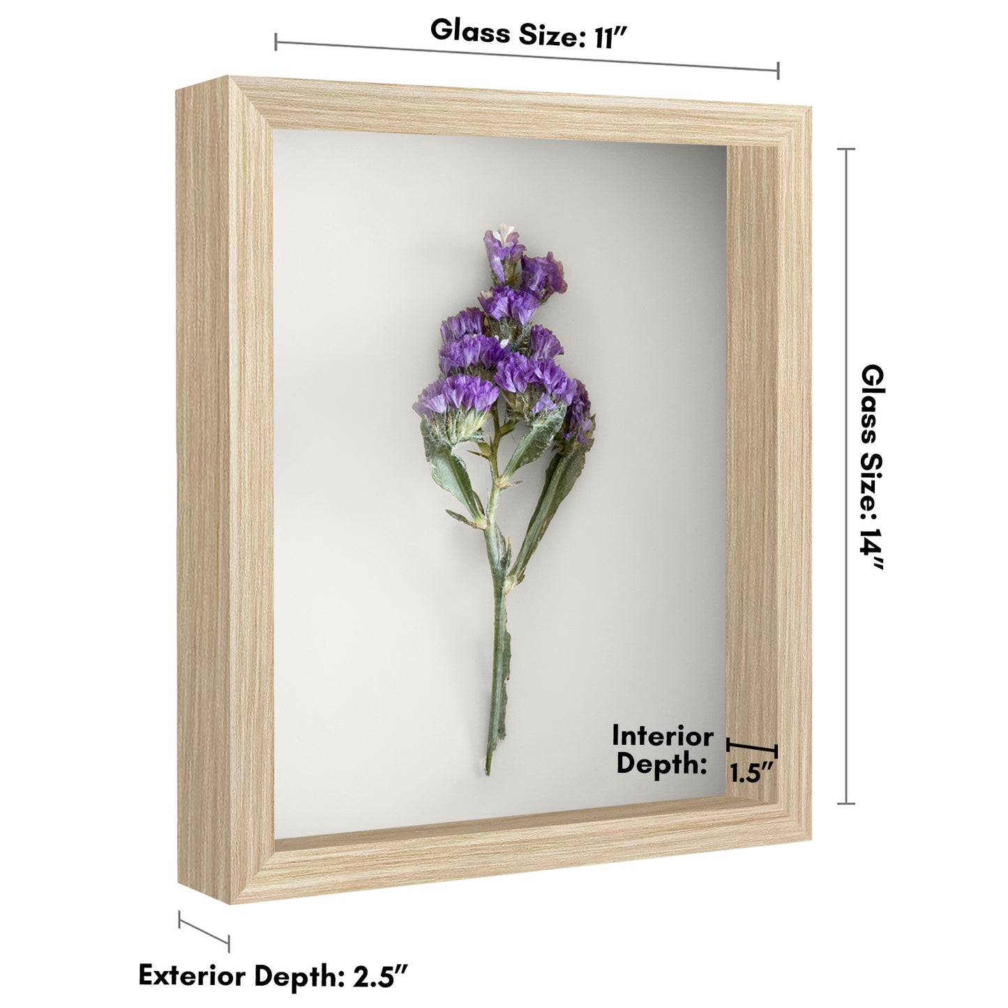 Shadow Box Frame | Deep Display | Shatter-Resistant Glass | Wall Decor