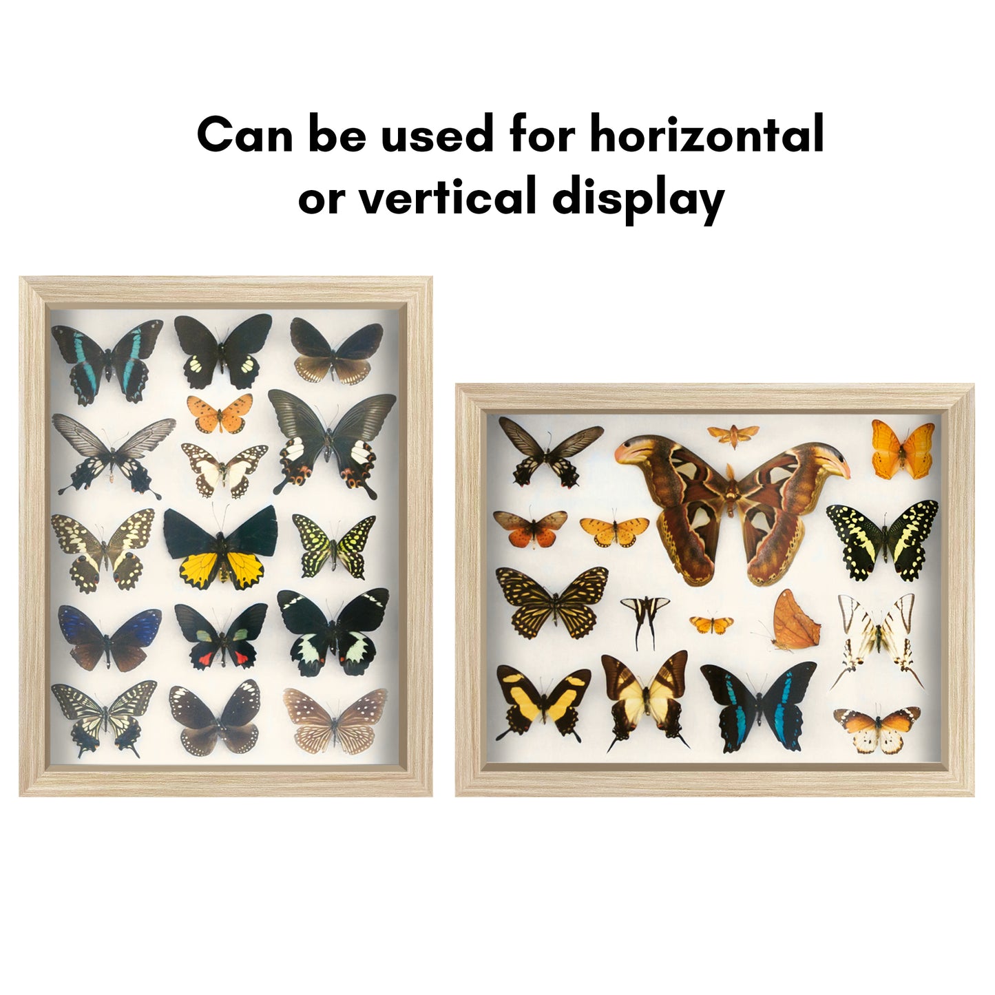 Shadow Box Frame | Deep Display | Shatter-Resistant Glass | Wall Decor