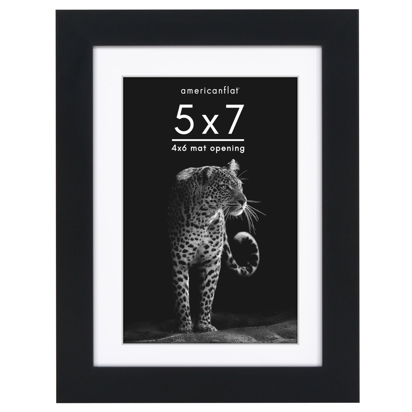 Picture Frame | Gallery Style | With Mat | Protective Glass | Wall Art Display