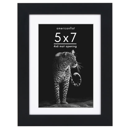 Picture Frame | Gallery Style | With Mat | Protective Glass | Wall Art Display