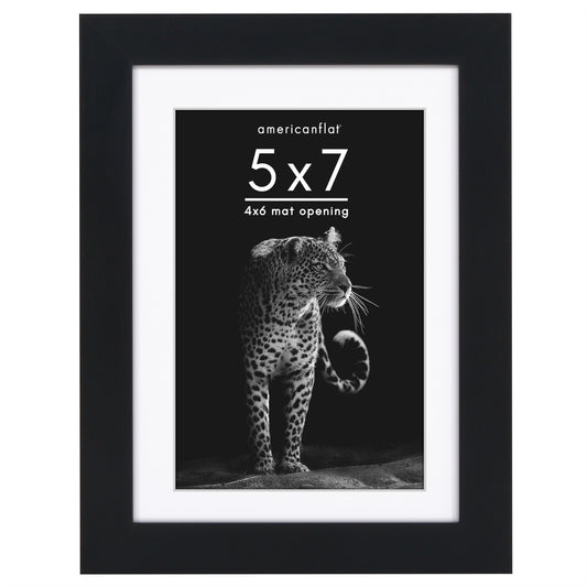 Picture Frame | Gallery Style | With Mat | Protective Glass | Wall Art Display