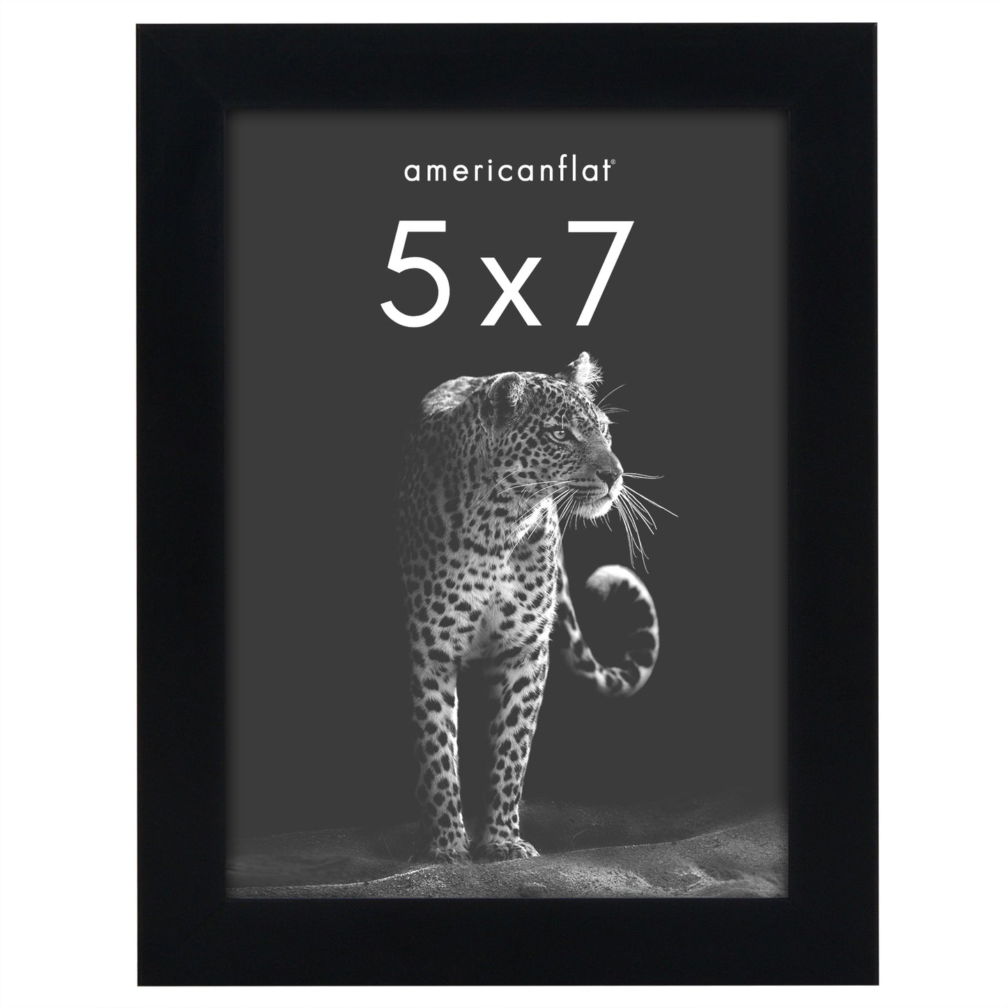 Deep Molding Picture Frame | Americanflat | No Mat | Modern - Premium Quality
