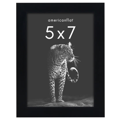 Picture Frame | Gallery Style | Secure Artwork and Photos | Wall Art Decor