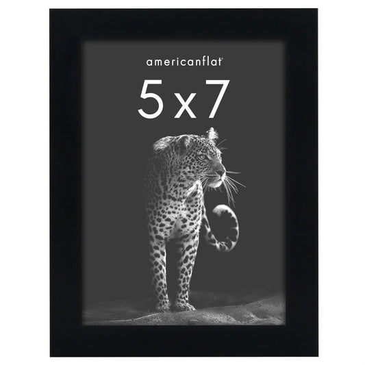 Picture Frame | Gallery Style | Secure Artwork and Photos | Wall Art Decor