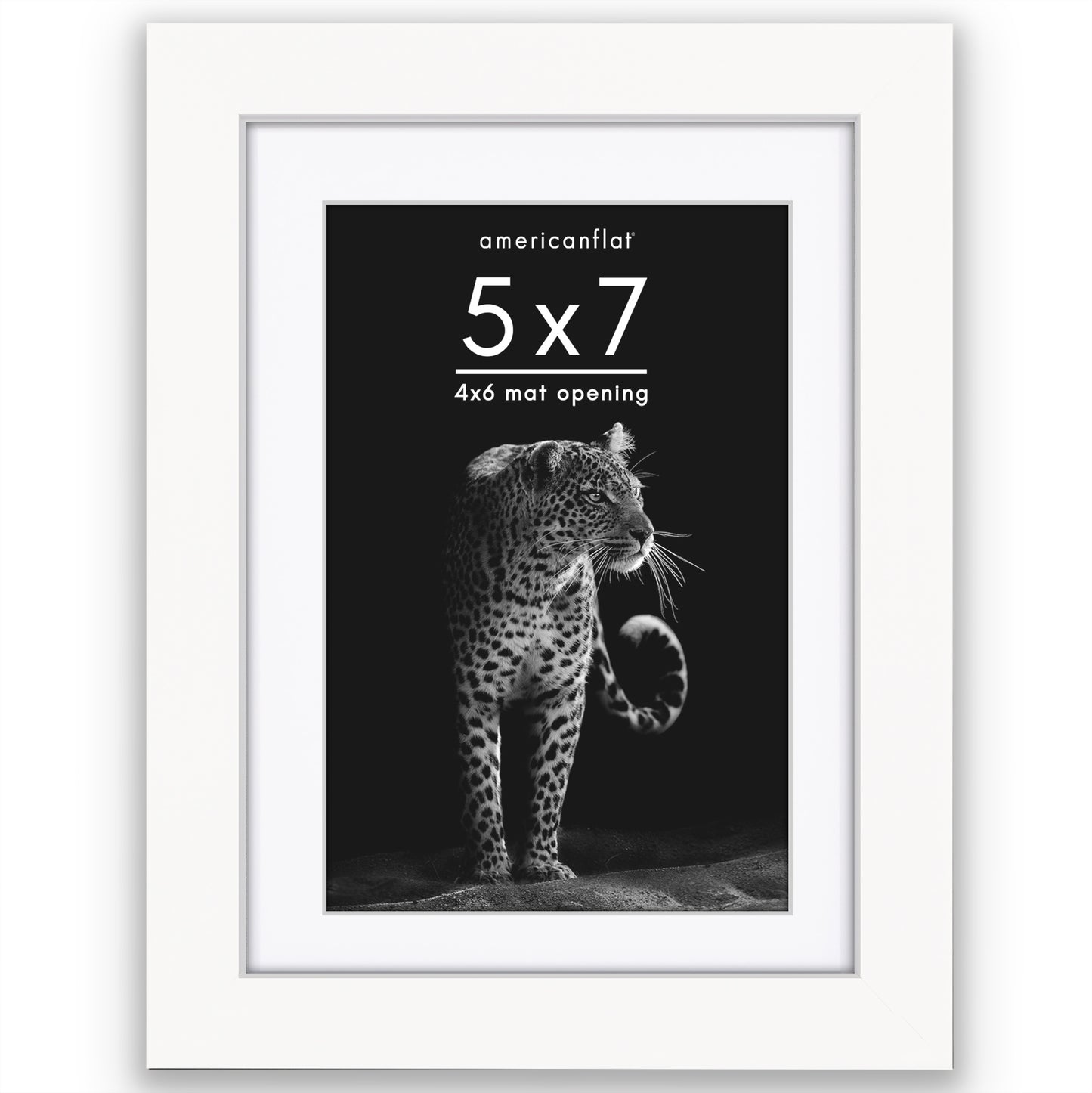 Picture Frame | Gallery Style | With Mat | Protective Glass | Wall Art Display