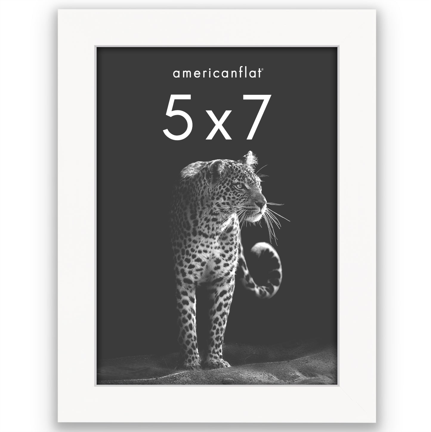 Picture Frame | Gallery Style | Secure Artwork and Photos | Wall Art Decor