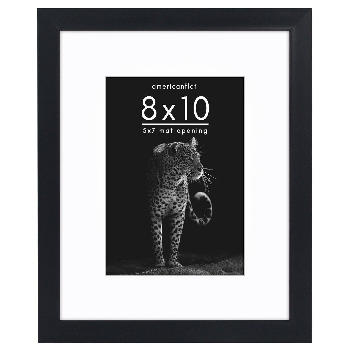 Picture Frame | Gallery Style | With Mat | Protective Glass | Wall Art Display
