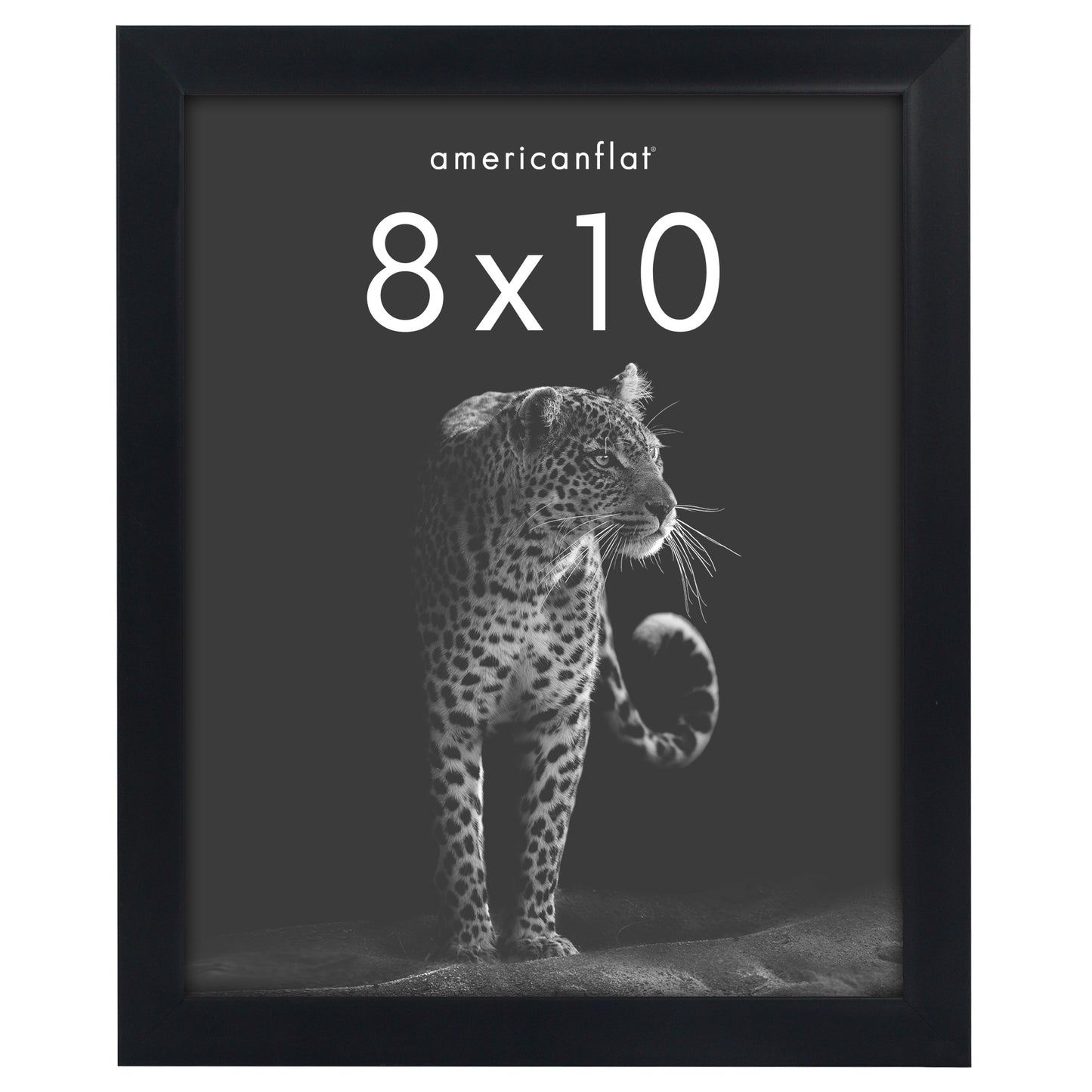 Deep Molding Picture Frame | Americanflat | No Mat | Modern - Premium Quality