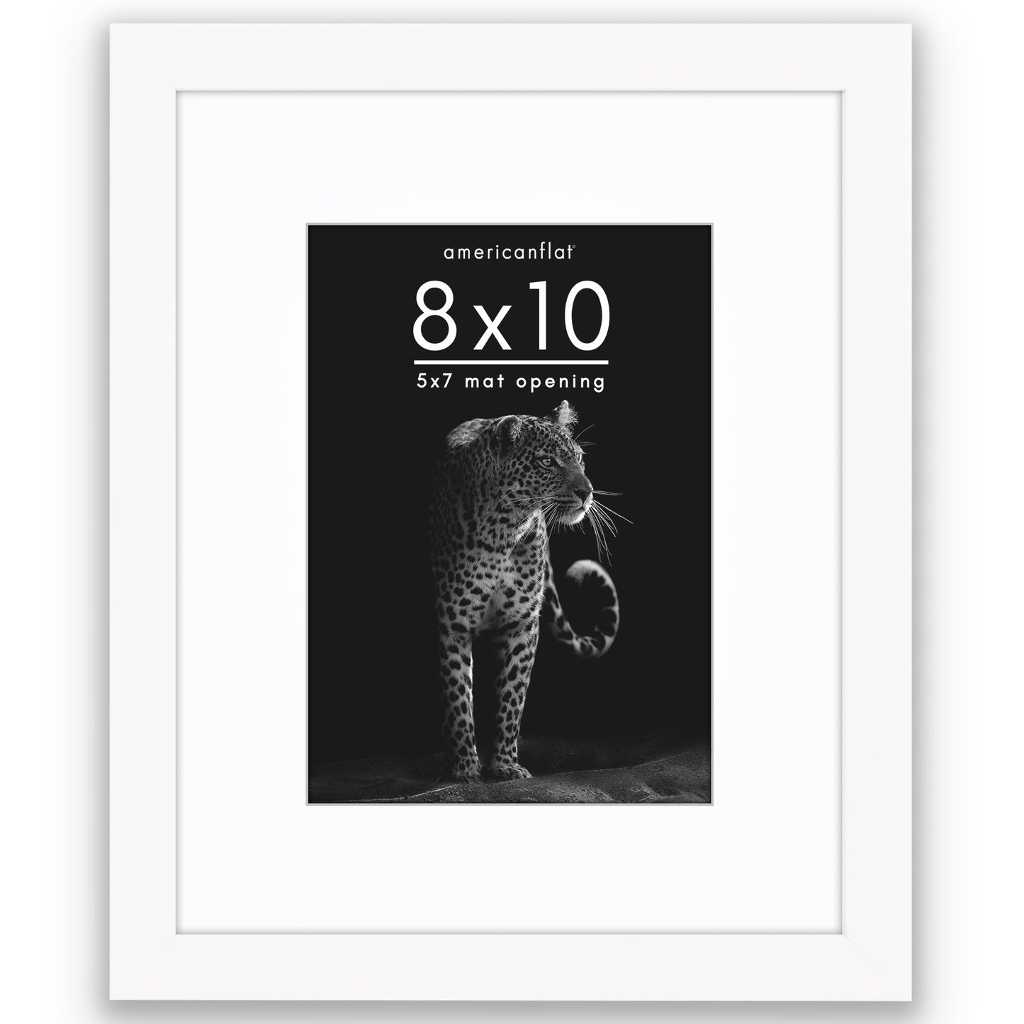 Picture Frame | Gallery Style | With Mat | Protective Glass | Wall Art Display
