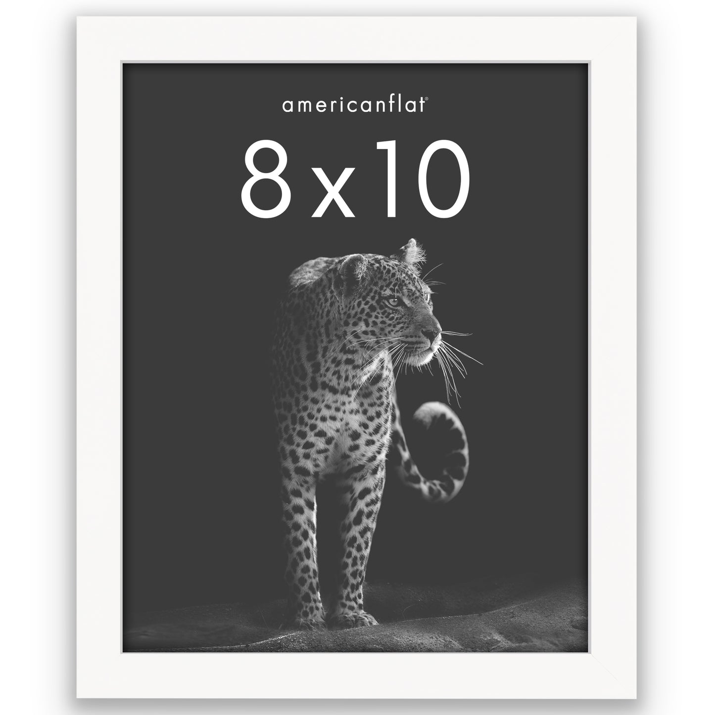 Picture Frame | Gallery Style | Secure Artwork and Photos | Wall Art Decor