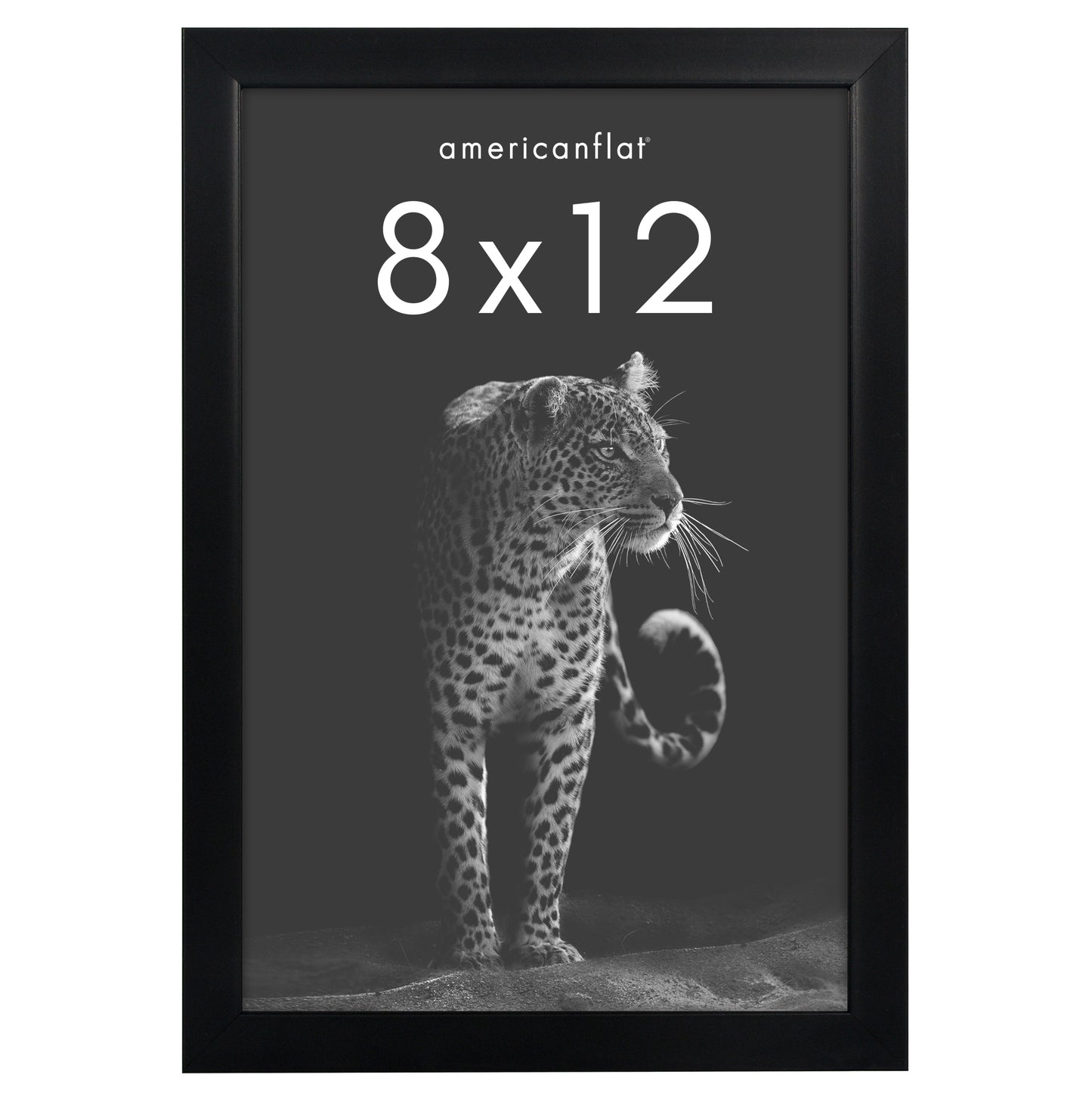 Picture Frame | Gallery Style | Secure Artwork and Photos | Wall Art Decor