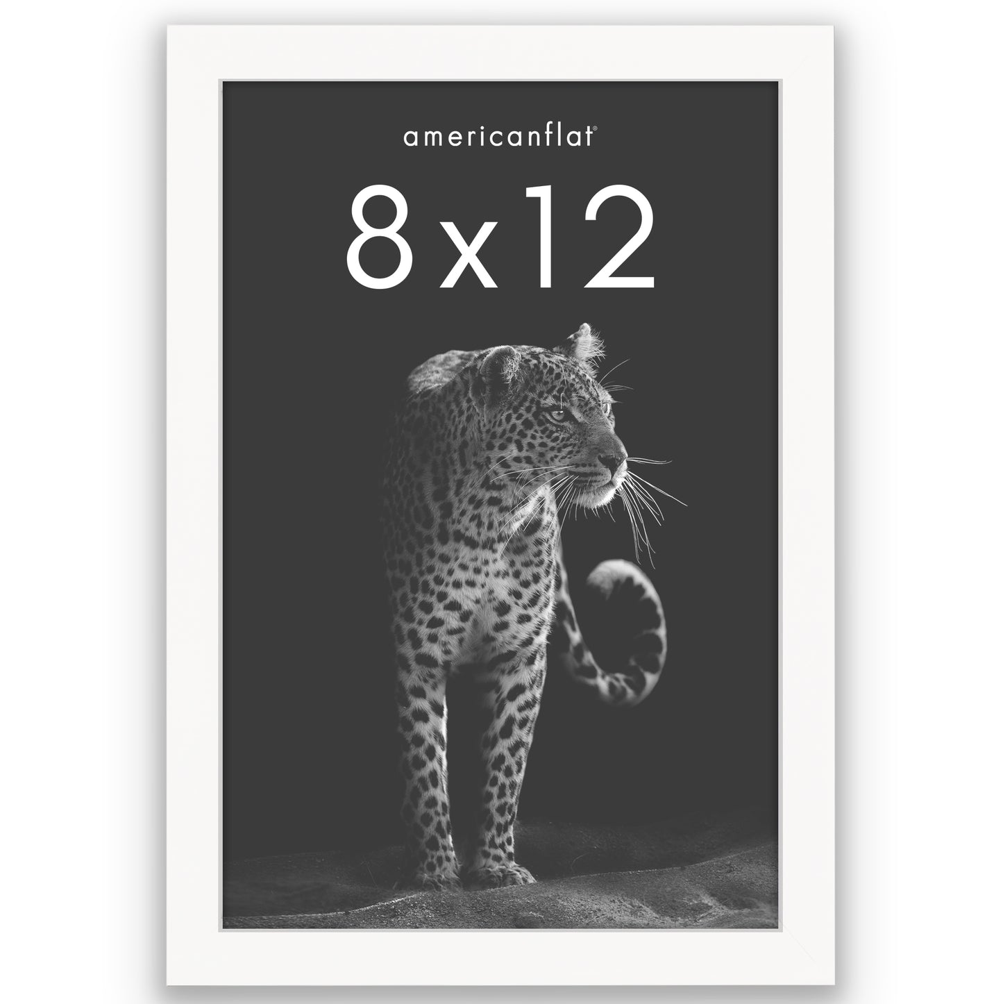 Picture Frame | Gallery Style | Secure Artwork and Photos | Wall Art Decor