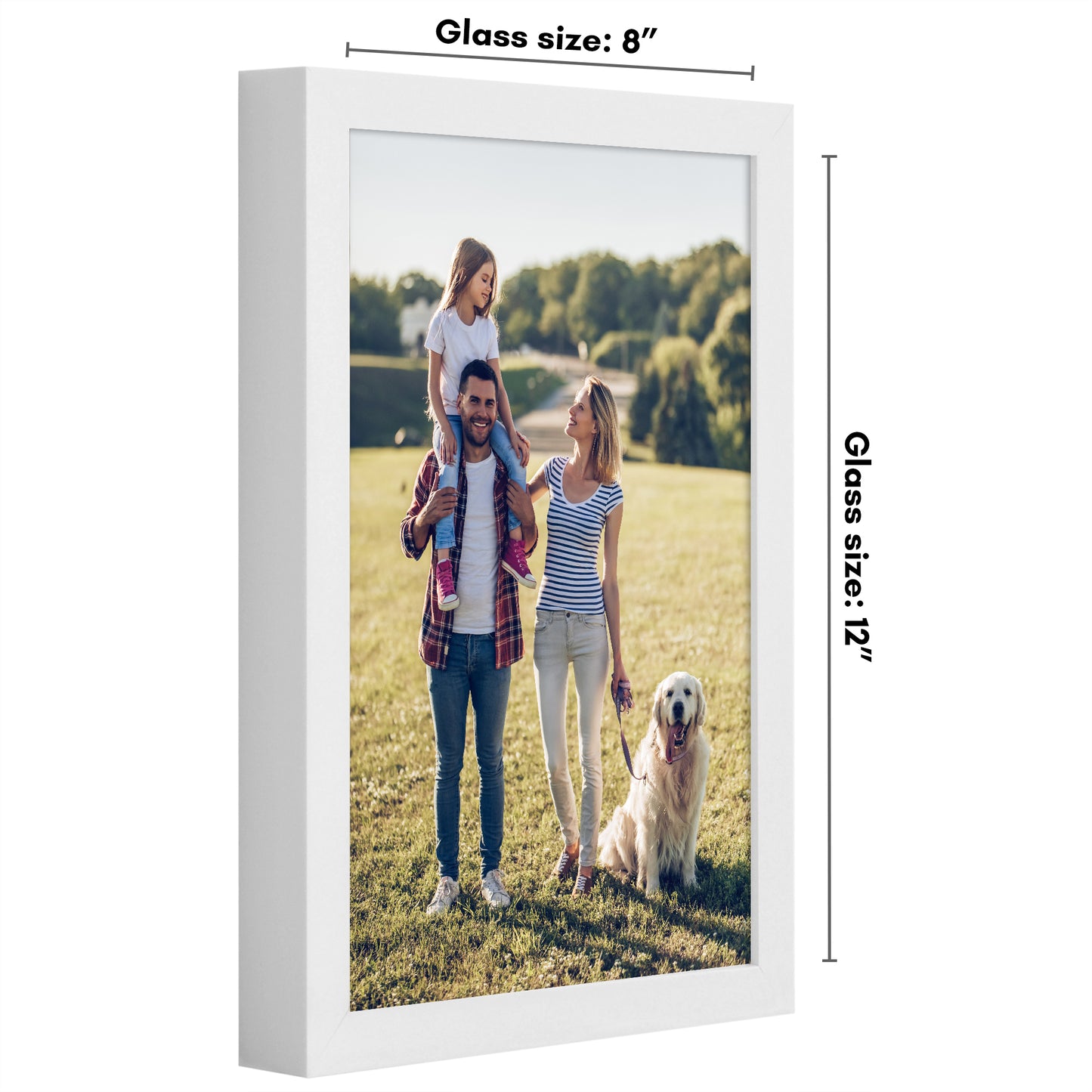 Picture Frame | Gallery Style | Secure Artwork and Photos | Wall Art Decor