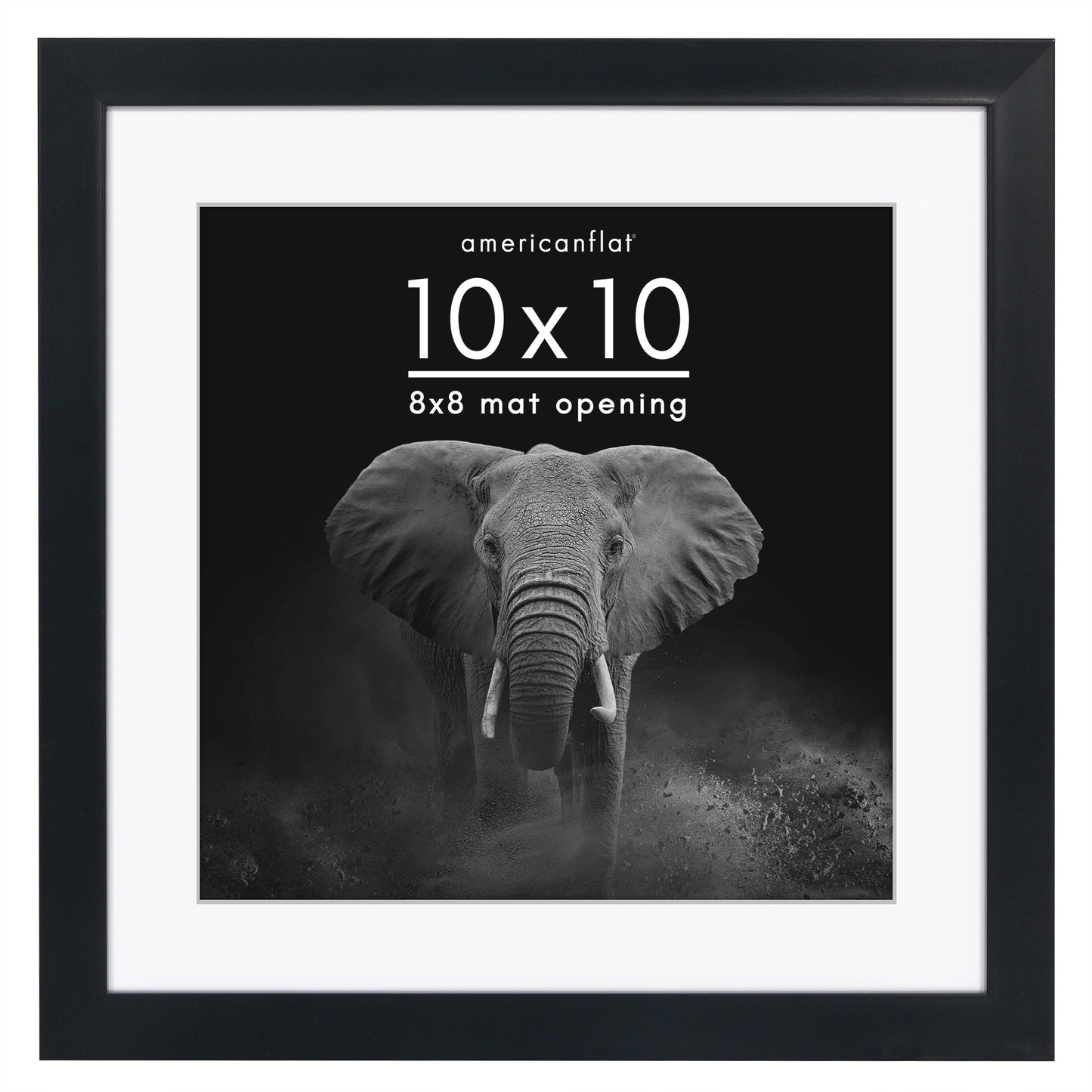 Picture Frame | Gallery Style | With Mat | Protective Glass | Wall Art Display