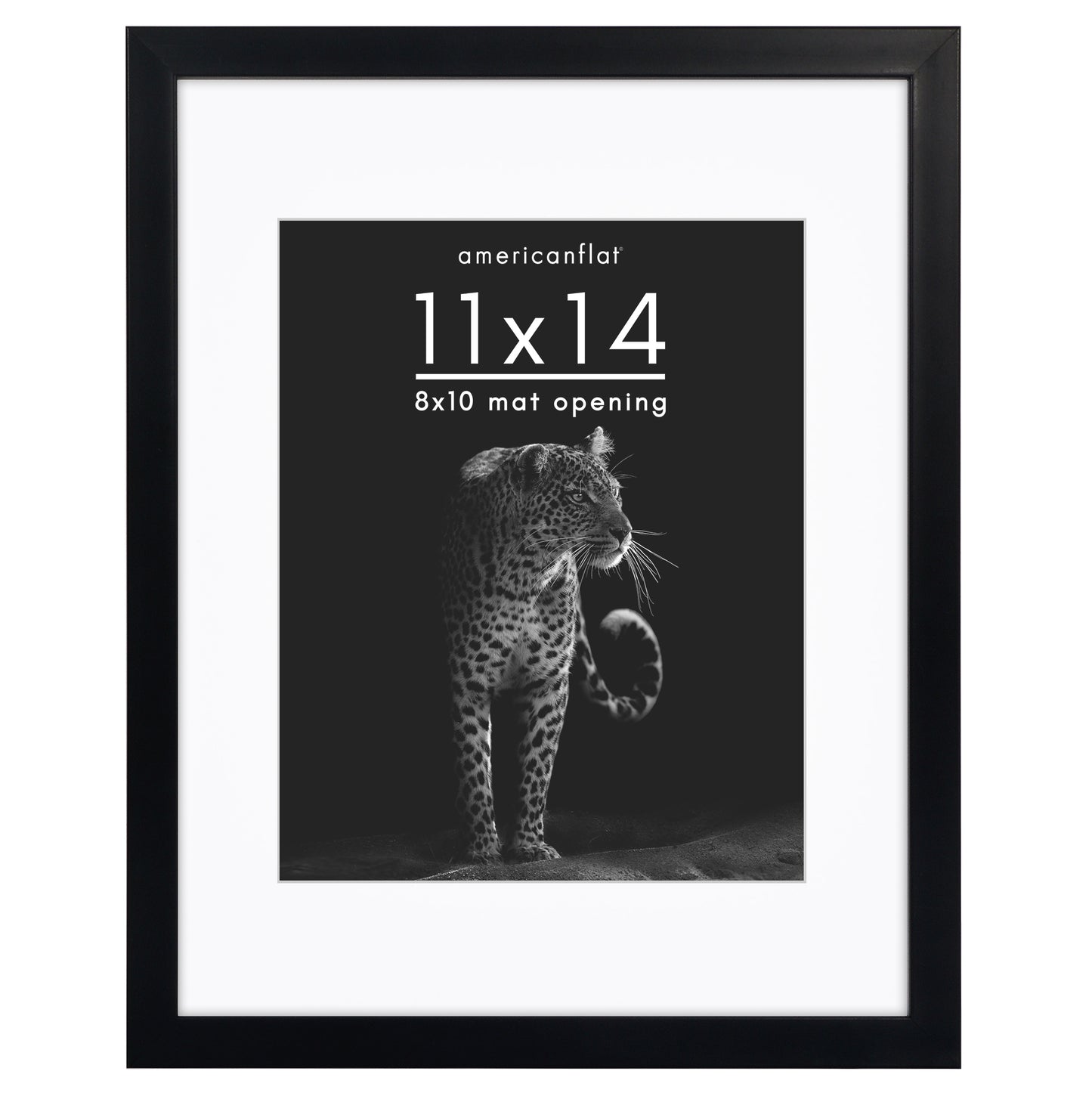 Picture Frame | Gallery Style | With Mat | Protective Glass | Wall Art Display
