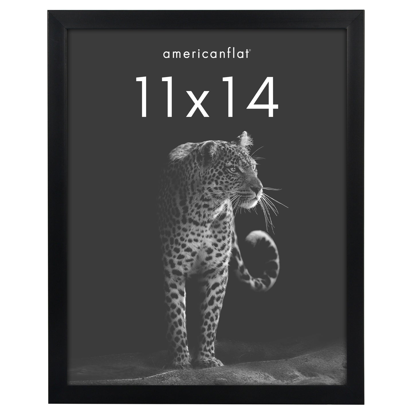 Deep Molding Picture Frame | Americanflat | No Mat | Modern - Premium Quality