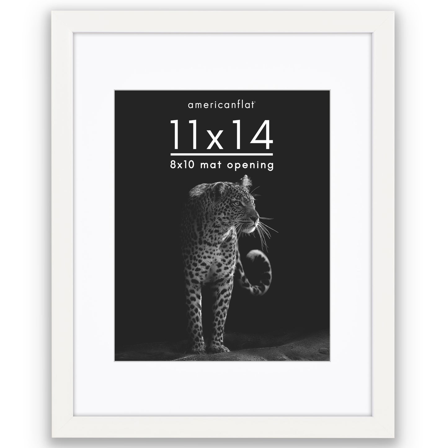 Picture Frame | Gallery Style | With Mat | Protective Glass | Wall Art Display