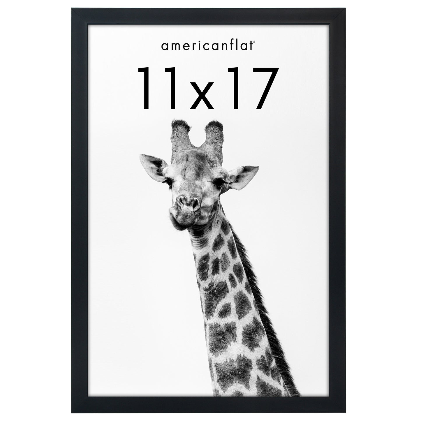 Deep Molding Picture Frame | Americanflat | No Mat | Modern - Premium Quality