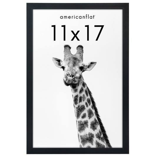 Picture Frame | Gallery Style | Secure Artwork and Photos | Wall Art Decor