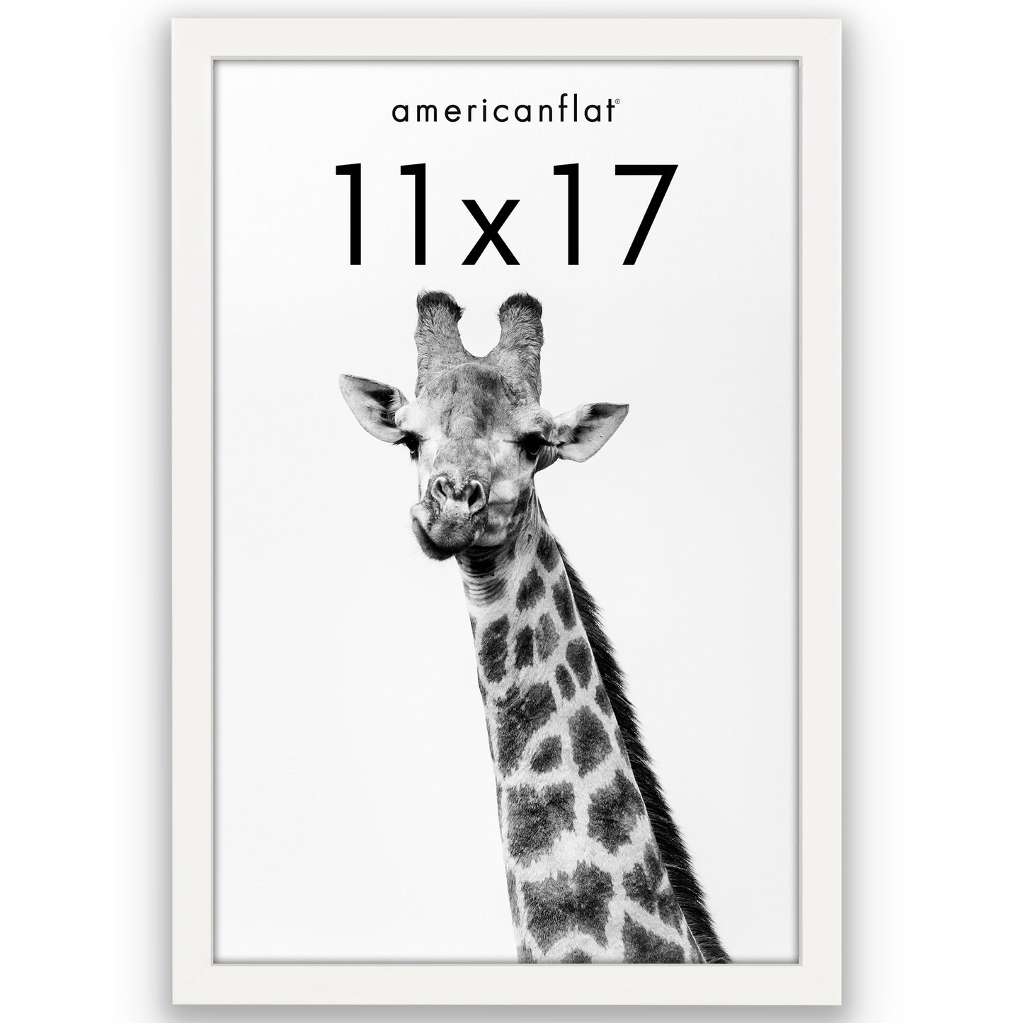 Picture Frame | Gallery Style | Secure Artwork and Photos | Wall Art Decor