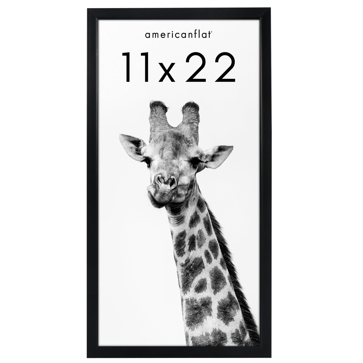 Picture Frame | Gallery Style | Secure Artwork and Photos | Wall Art Decor