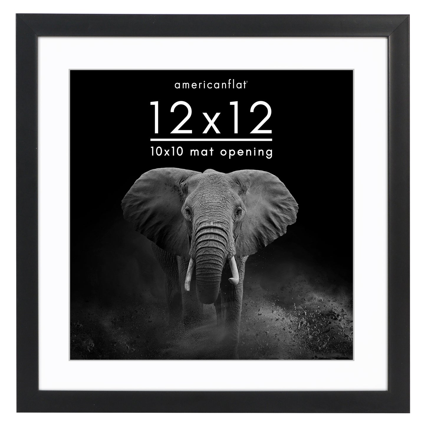 Picture Frame | Gallery Style | With Mat | Protective Glass | Wall Art Display