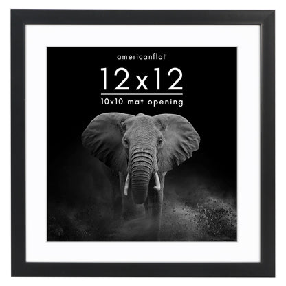 Picture Frame | Gallery Style | With Mat | Protective Glass | Wall Art Display