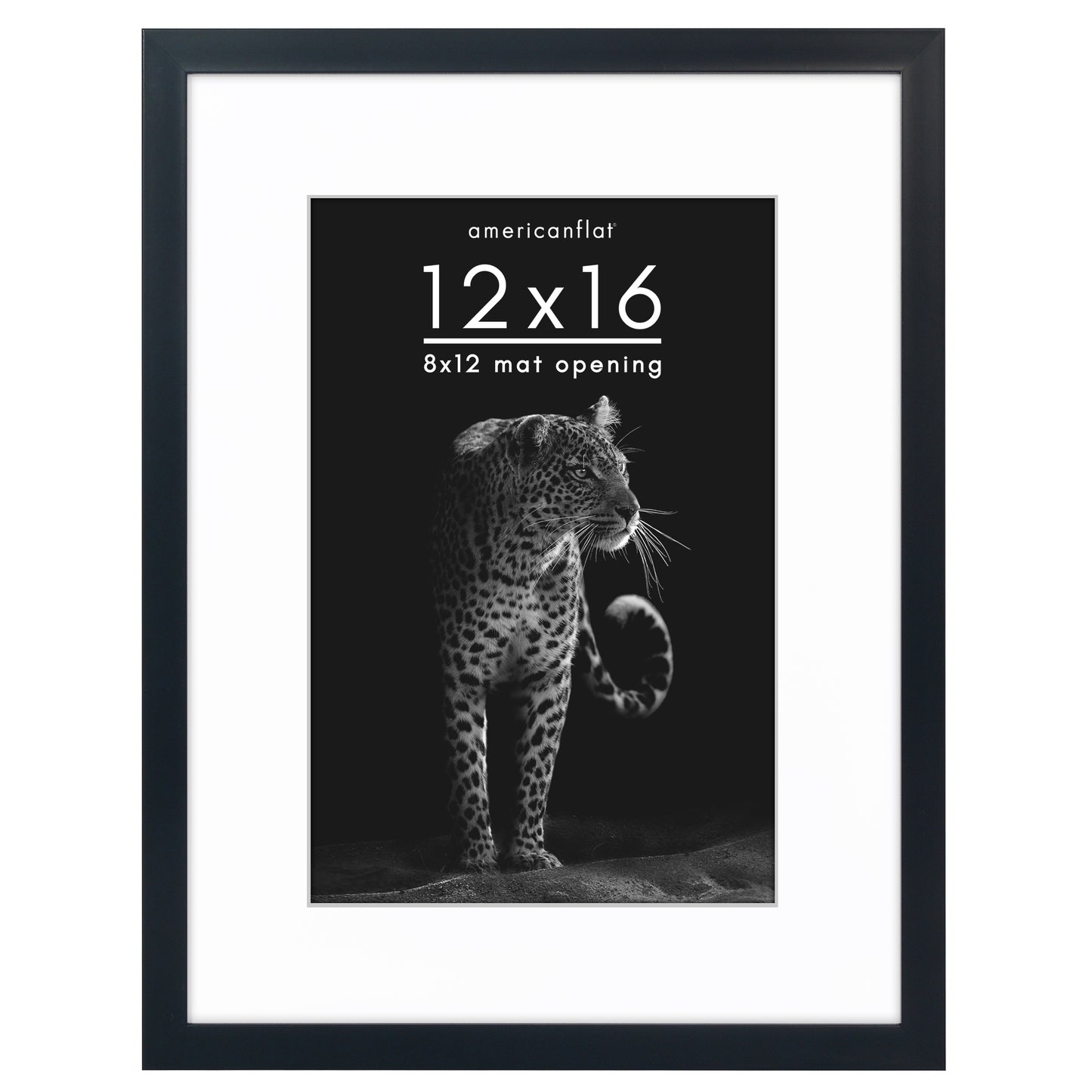 Picture Frame | Gallery Style | With Mat | Protective Glass | Wall Art Display