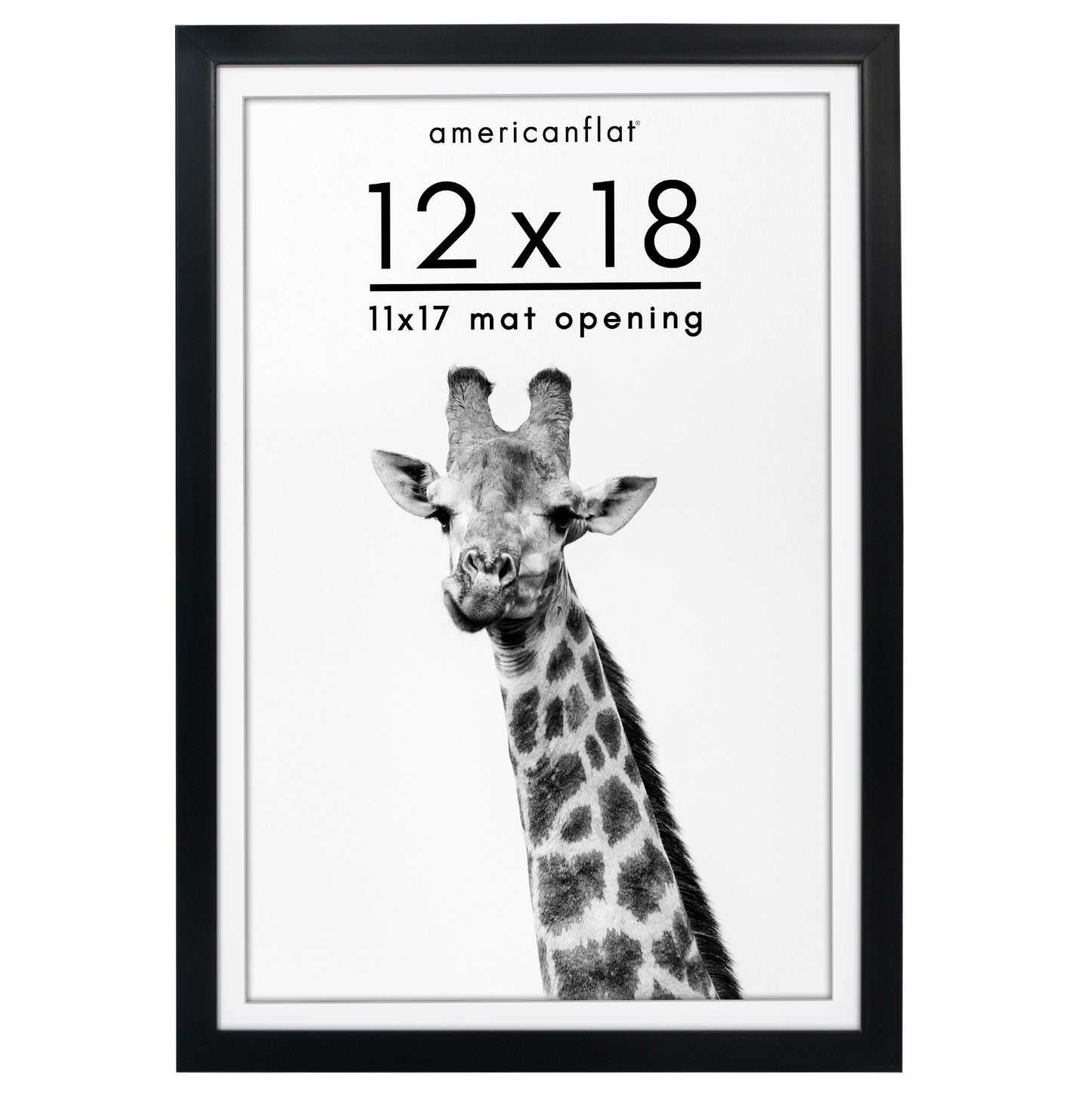 Picture Frame | Gallery Style | With Mat | Protective Glass | Wall Art Display
