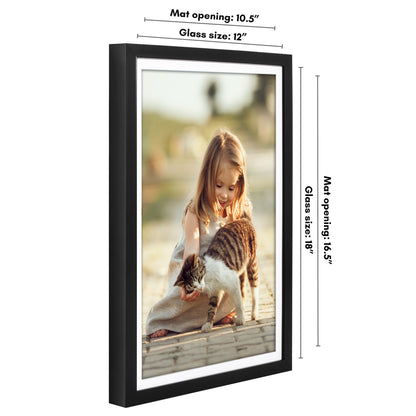 Picture Frame | Gallery Style | With Mat | Protective Glass | Wall Art Display