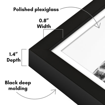 Picture Frame | Gallery Style | With Mat | Protective Glass | Wall Art Display